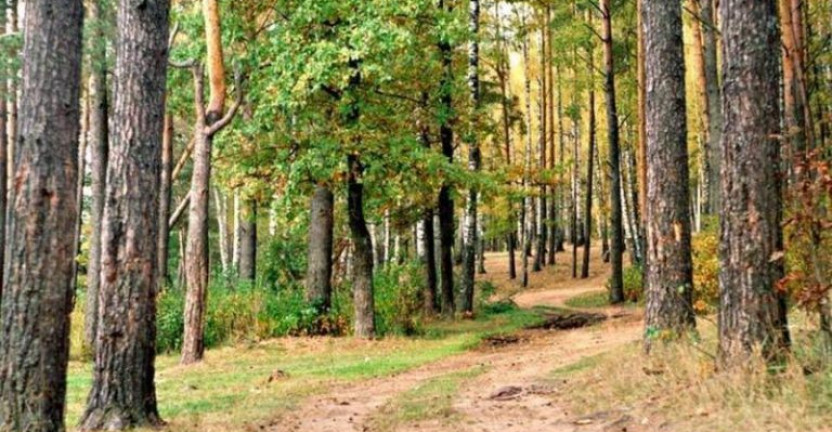 20 сентября 2019 года руководитель Пензастата М.А. Уханов принял участие в мероприятиях, организованных Министерством лесного, охотничьего хозяйства и природопользования Пензенской области