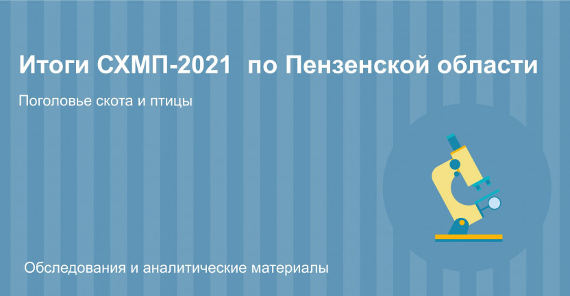 Итоги СХМП-2021 по Пензенской области (поголовье скота и птицы)