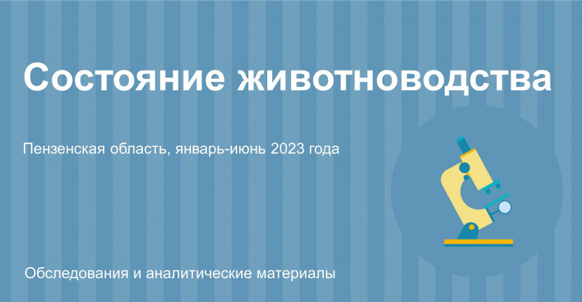 Состояние животноводства в хозяйствах всех категорий Пензенской области в январе-июне 2023 года