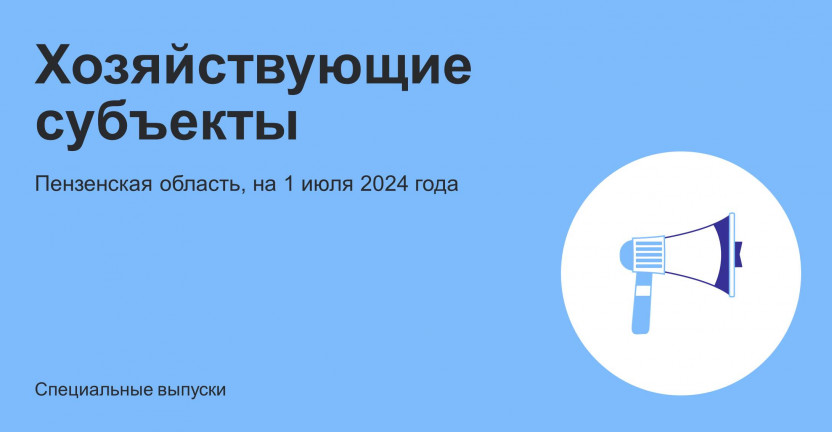 Хозяйствующие субъекты Пензенской области на 1 июля 2024 года